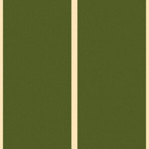 Ковер COLIZEY AHM1 - GREEN-CREAM 2.5 на 6.15